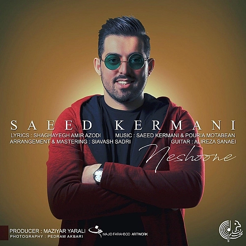 Cover artwork for Neshoone by Saeed Kermani